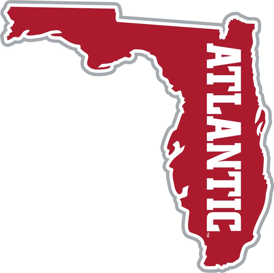 Florida Atlantic Owls 2015-2017 Secondary Logo t shirts iron on transfers